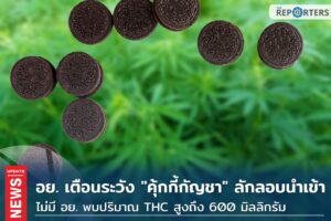 เตือนผู้ปกครอง ระวัง คุ้กกี้กัญชาลักลอบนำเข้า ไร้ อย.หลังพบปริมาณ THC สูงถึง 600 มิลลิกรัม