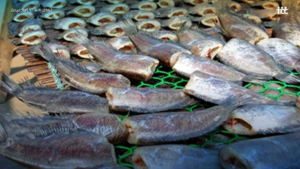 เตือนภัย ยาฆ่าแมลงในปลาตากแห้ง หนุนผู้บริโภคร้องเรียน เพื่อยกระดับอาหารปลอดภัย